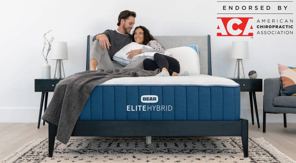 Bear Elite