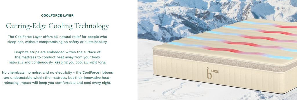 Birch Luxe Natural