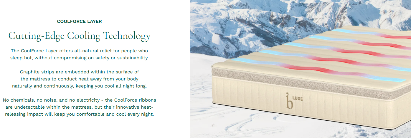Birch Luxe Natural