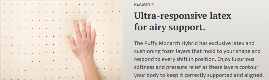 Puffy Monarch